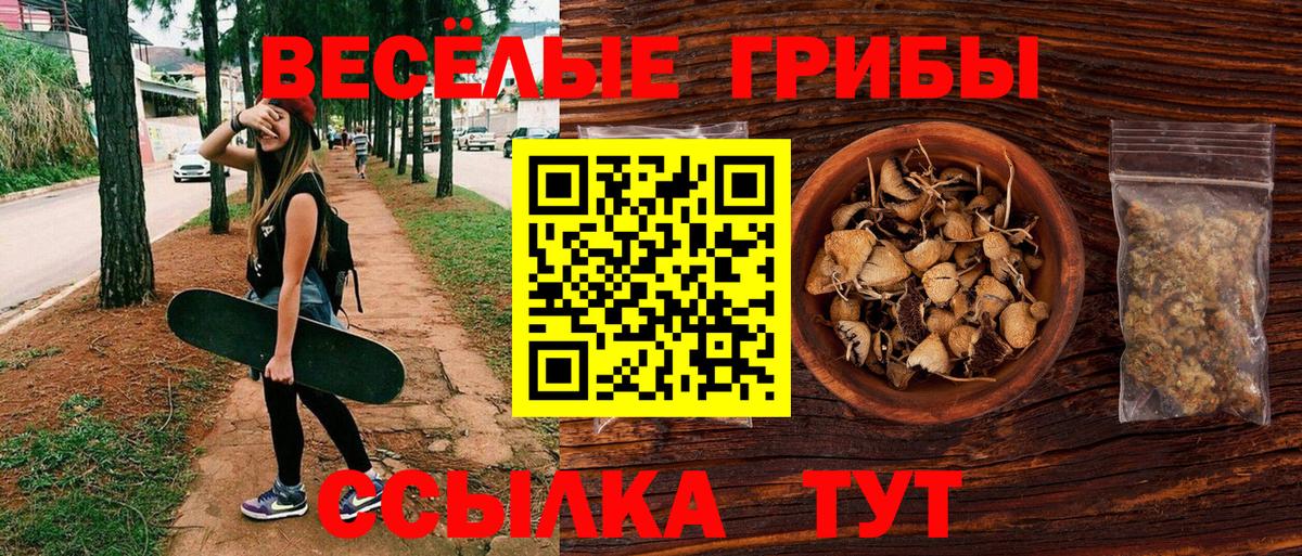 Псилоцибиновые грибы Psilocybine cubensis  Вход с VPN  Амурск 